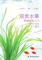 觀賞水草養(yǎng)殖輕松入門(mén)